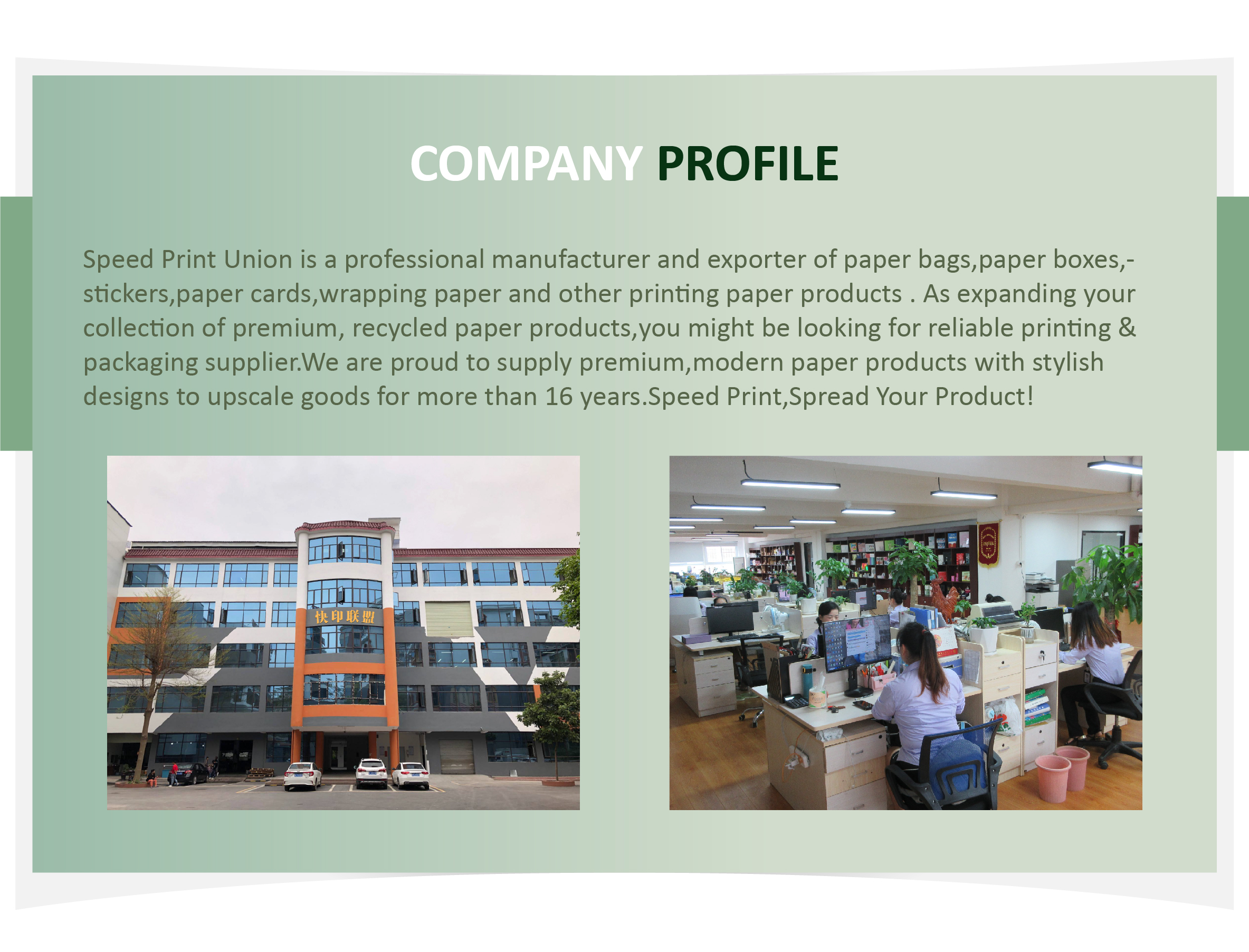 Company Profile Overview