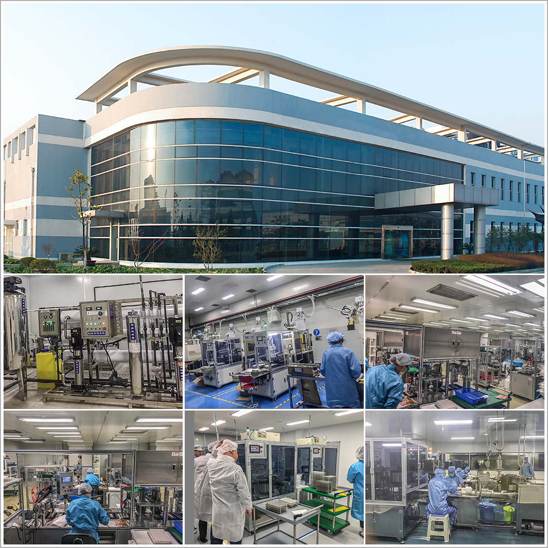 Company Profile Overview